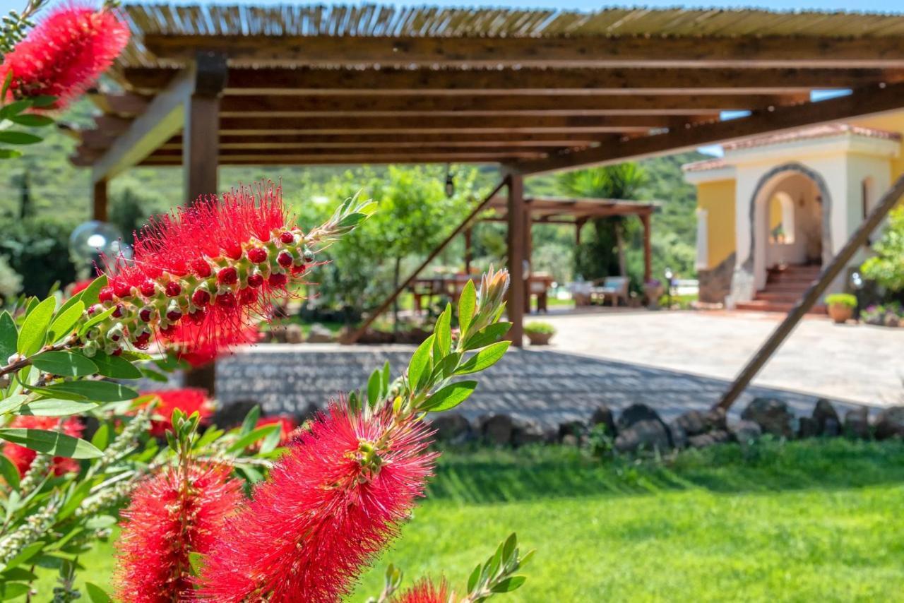 Villa Saige , Piscina Con Idromassaggio Alghero Esterno foto