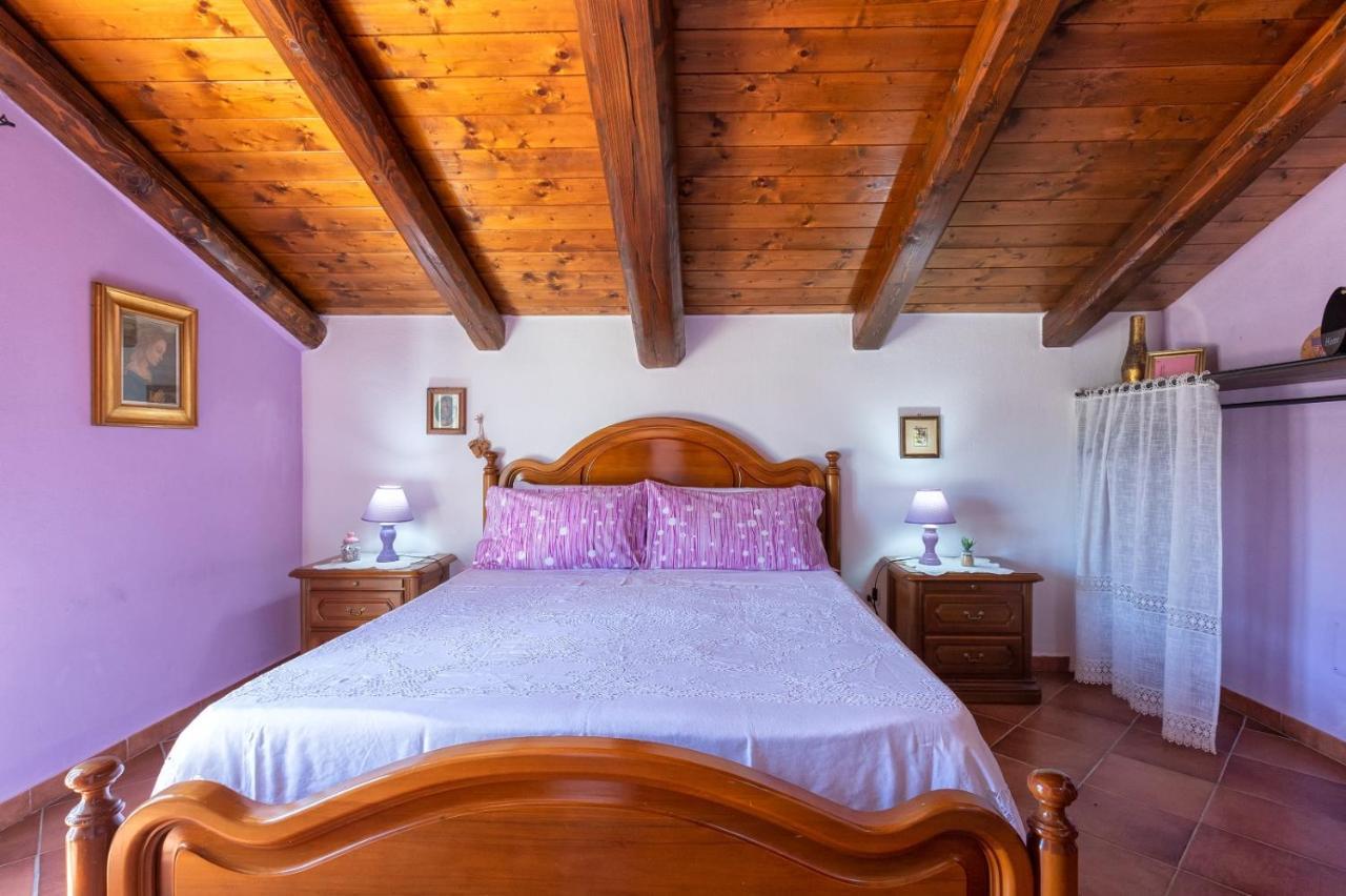 Villa Saige , Piscina Con Idromassaggio Alghero Esterno foto
