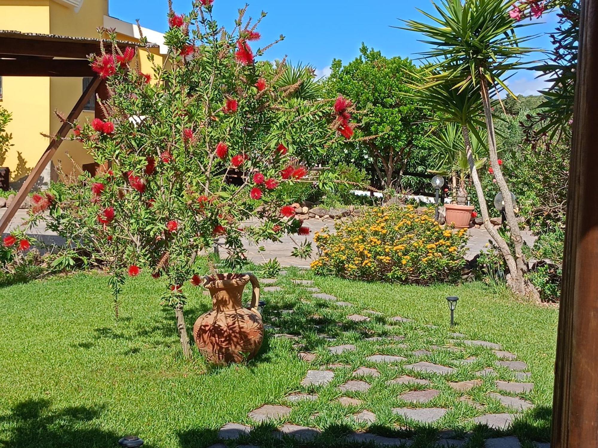 Villa Saige , Piscina Con Idromassaggio Alghero Esterno foto