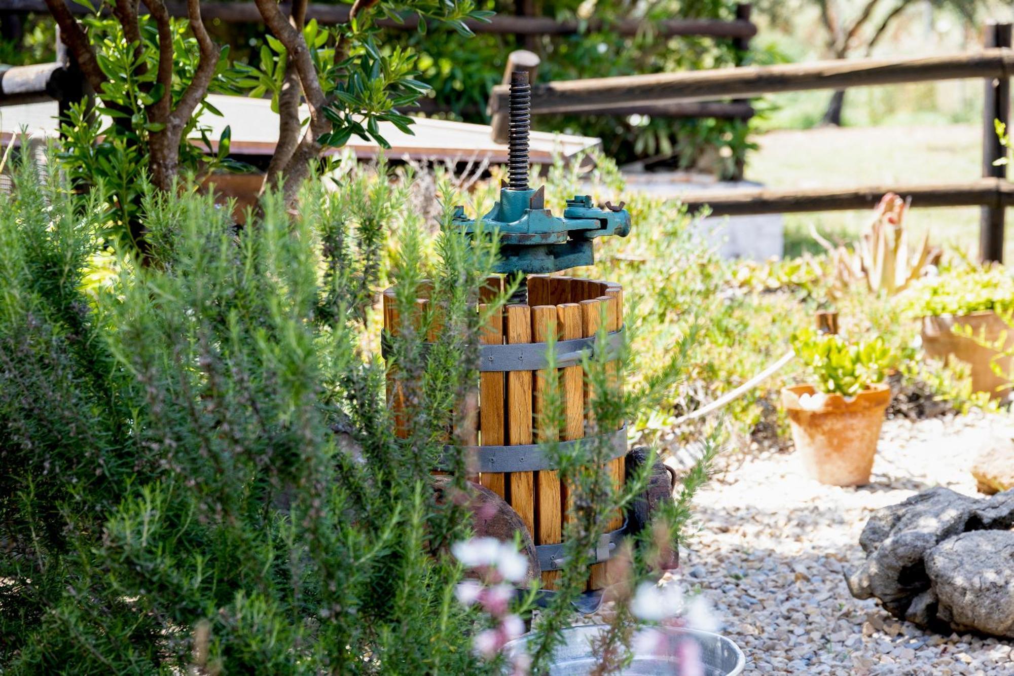 Villa Saige , Piscina Con Idromassaggio Alghero Esterno foto